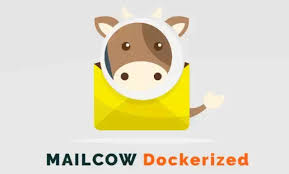 Mailcow Auto-Hébergé avec Nginx Proxy Manager et SSL Automatisé